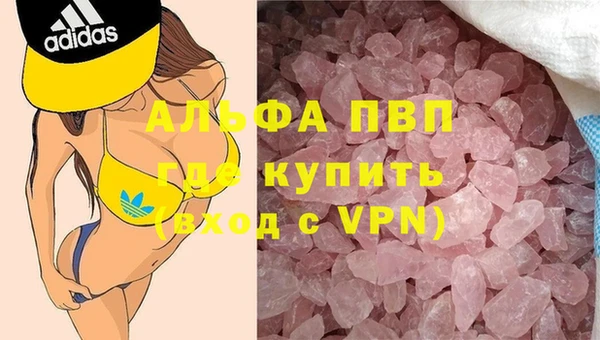 твердый Вяземский