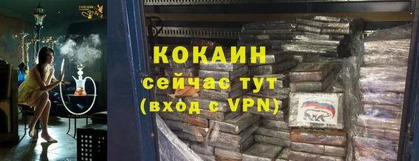 твердый Вяземский