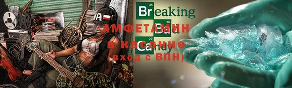 твердый Вяземский